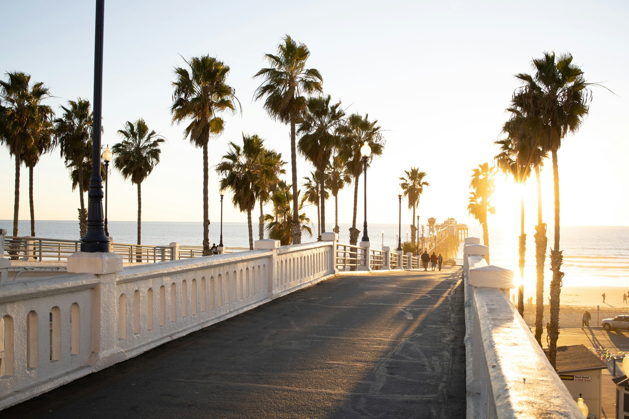 The Oceanside pier at golden hour, palm trees lining the walkway toward the ocean.